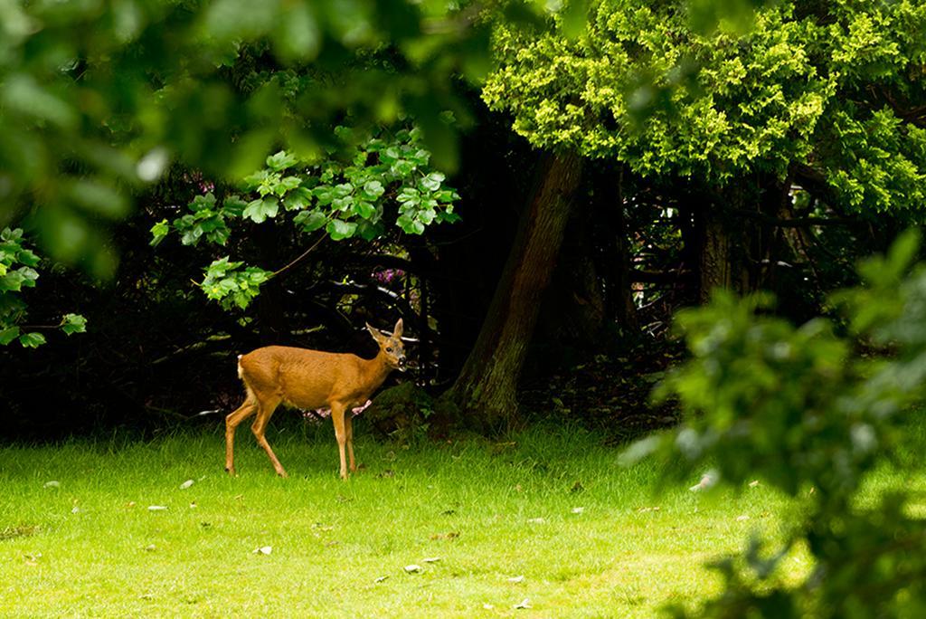 Yha Butharlyp Howe * Grasmere