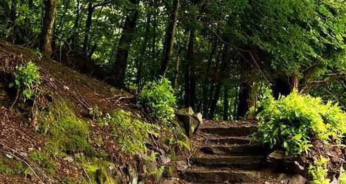 Yha Butharlyp Howe *